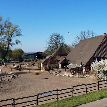 Ferienhaus Pony-ranch-hütte