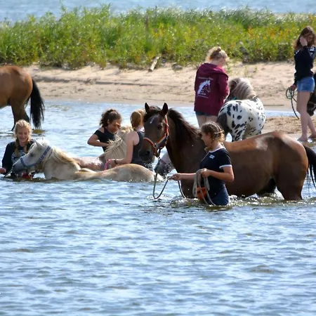 Prázdninový dům Pony-ranch-huette *