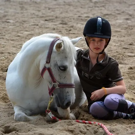 Pony-ranch-hütte * Hittbergen