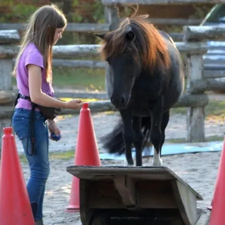 Pony-ranch-hütte Hittbergen