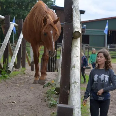 Pony-ranch-hütte Hittbergen